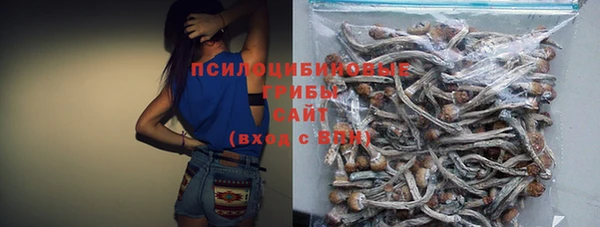 герыч Бородино