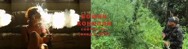 Альфа ПВП Белокуриха