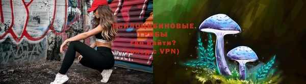 mdpv Богданович