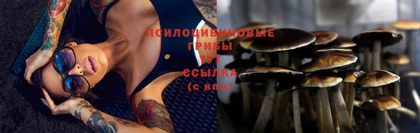 ПСИЛОЦИБИНОВЫЕ ГРИБЫ Беломорск